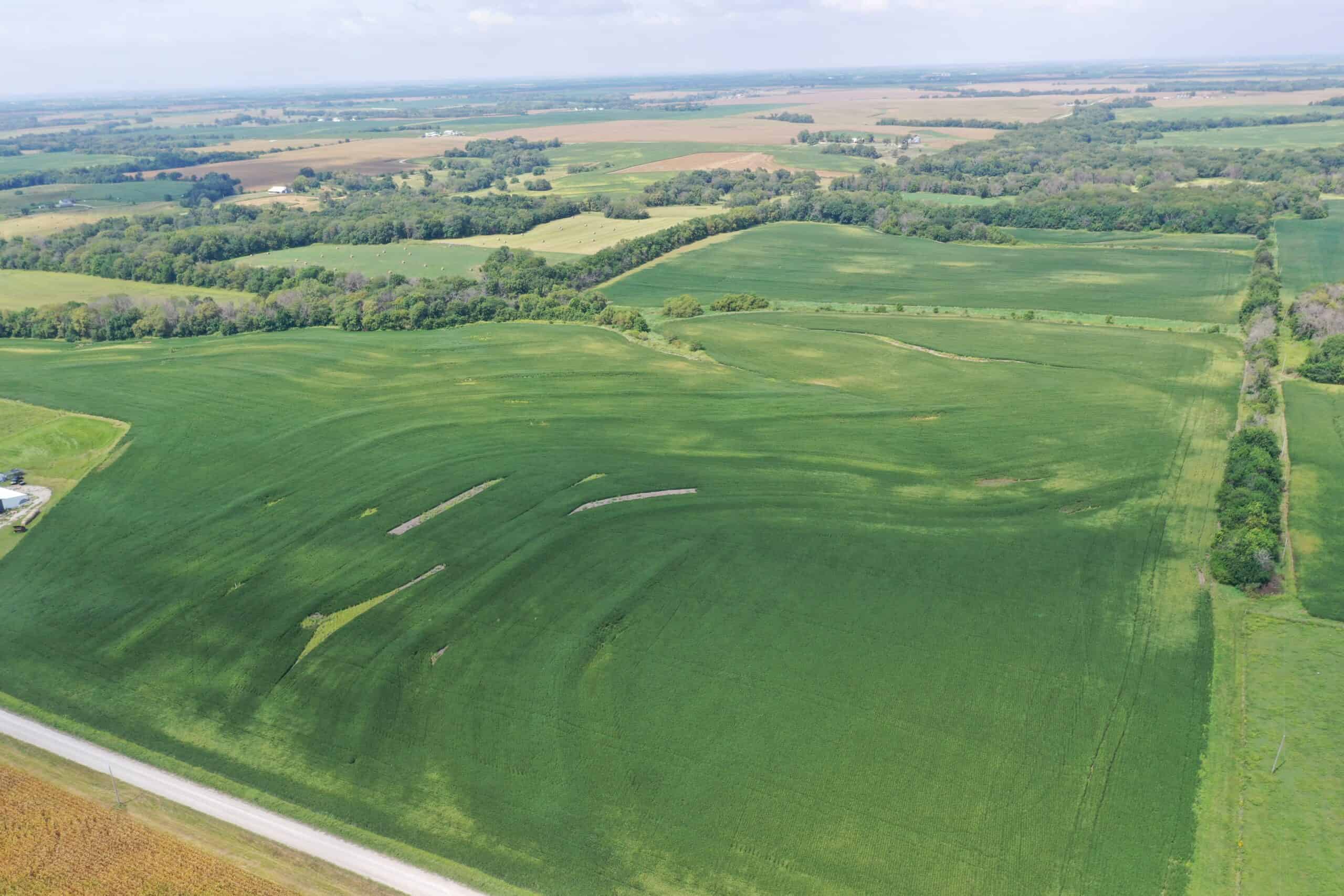 Brad & Tammy Bowles Auction