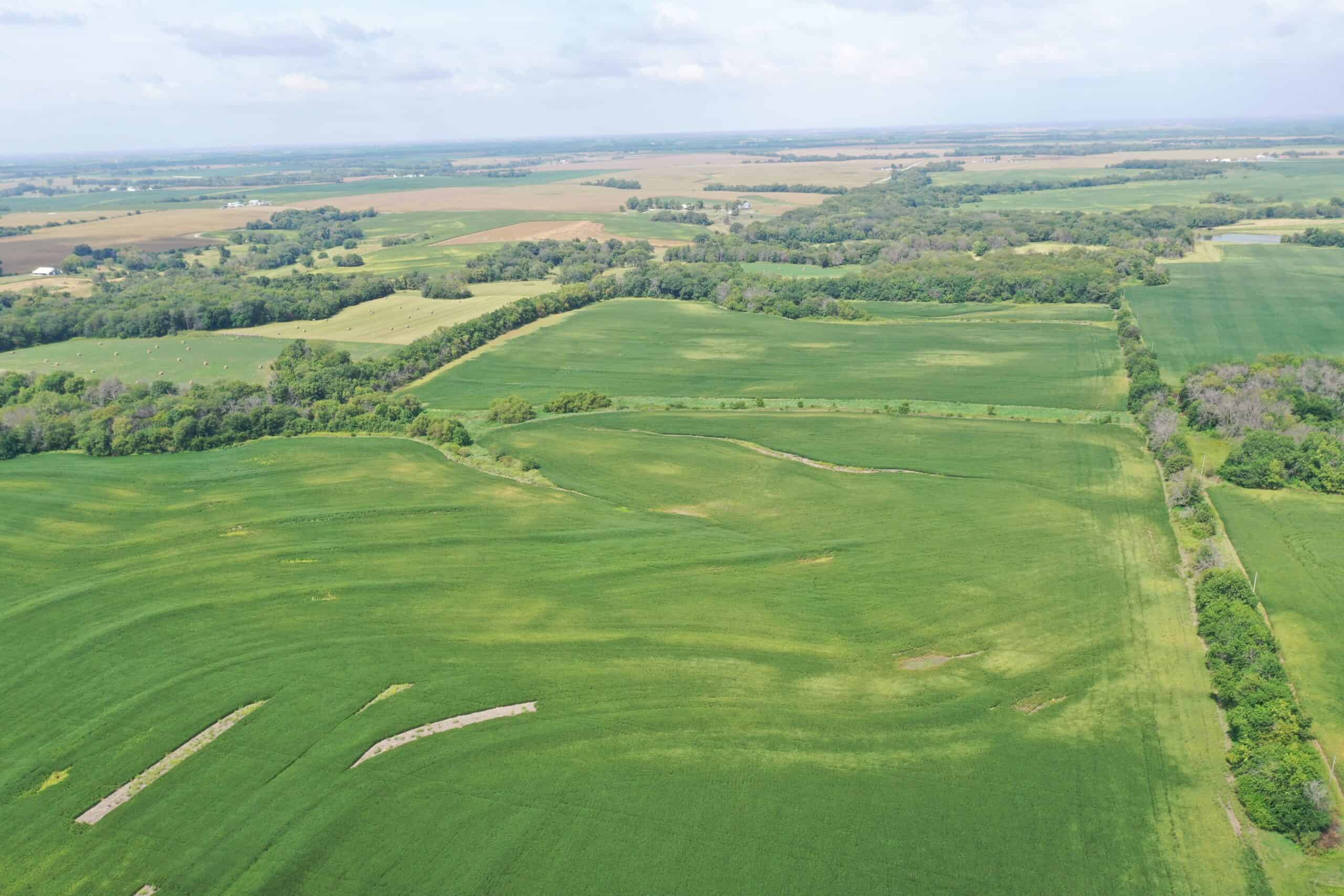 Brad & Tammy Bowles Auction