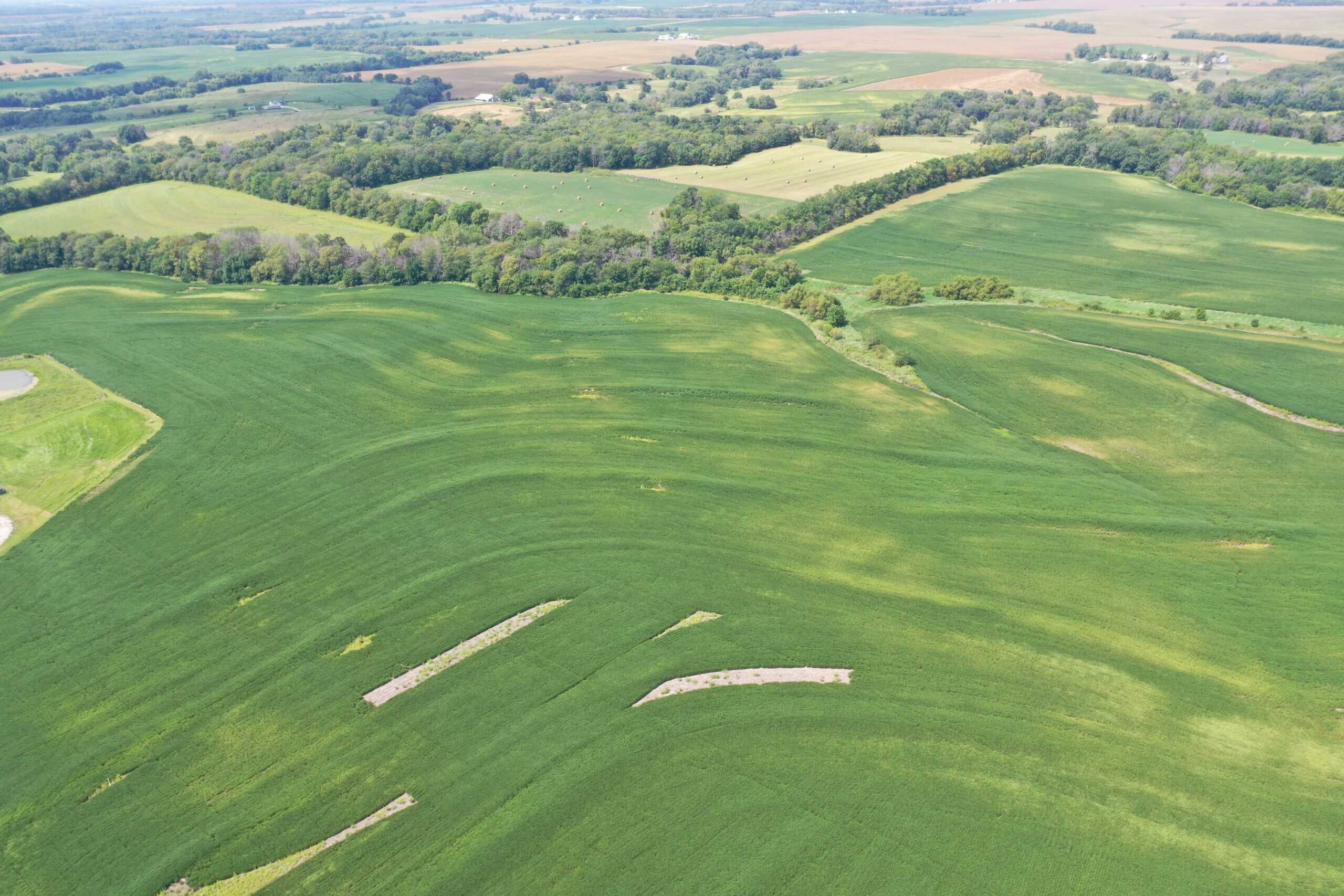 Brad & Tammy Bowles Auction