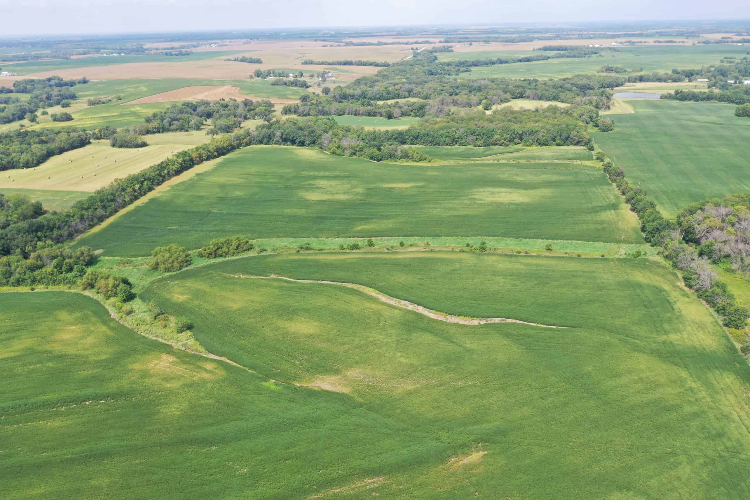 Brad & Tammy Bowles Auction