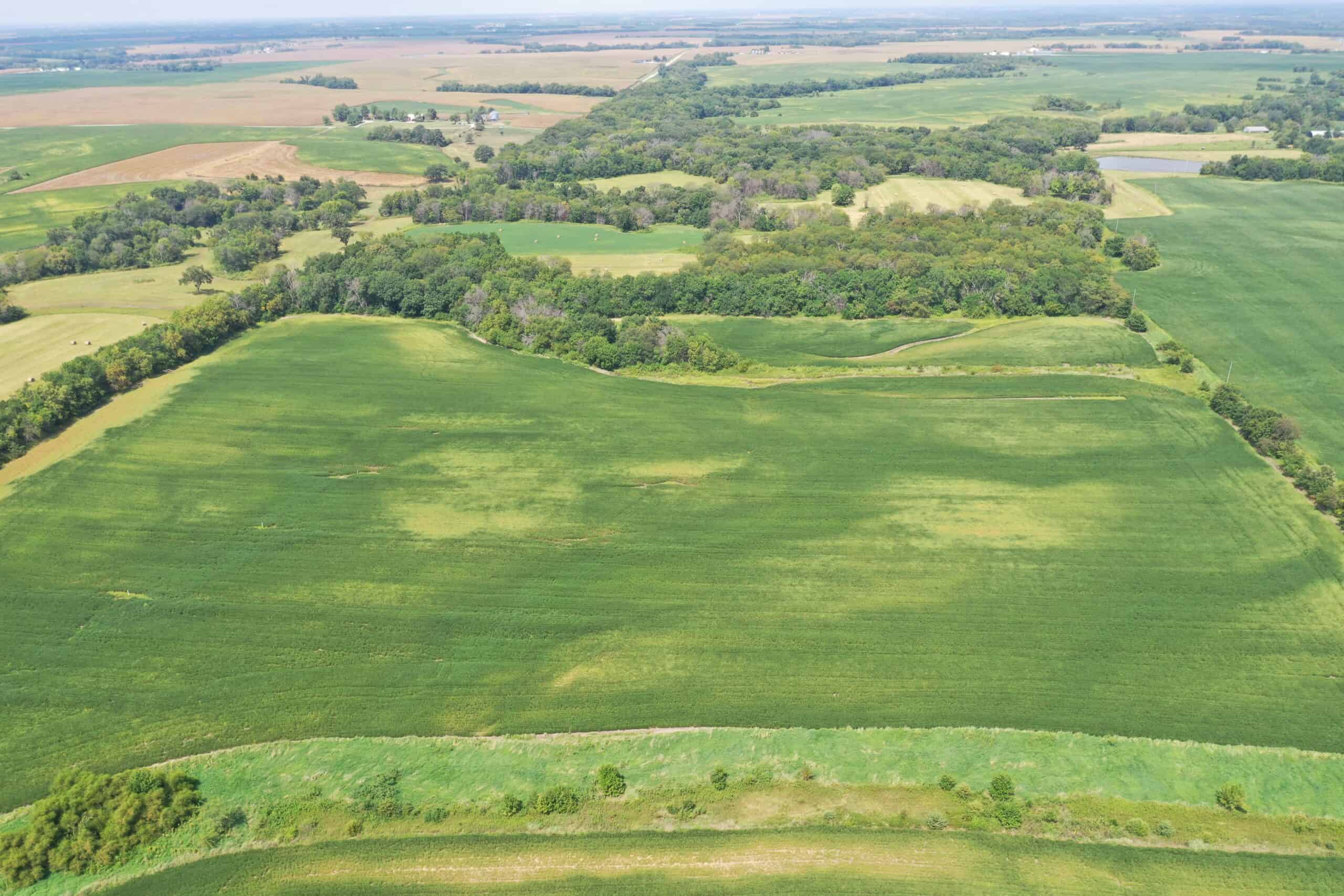 Brad & Tammy Bowles Auction