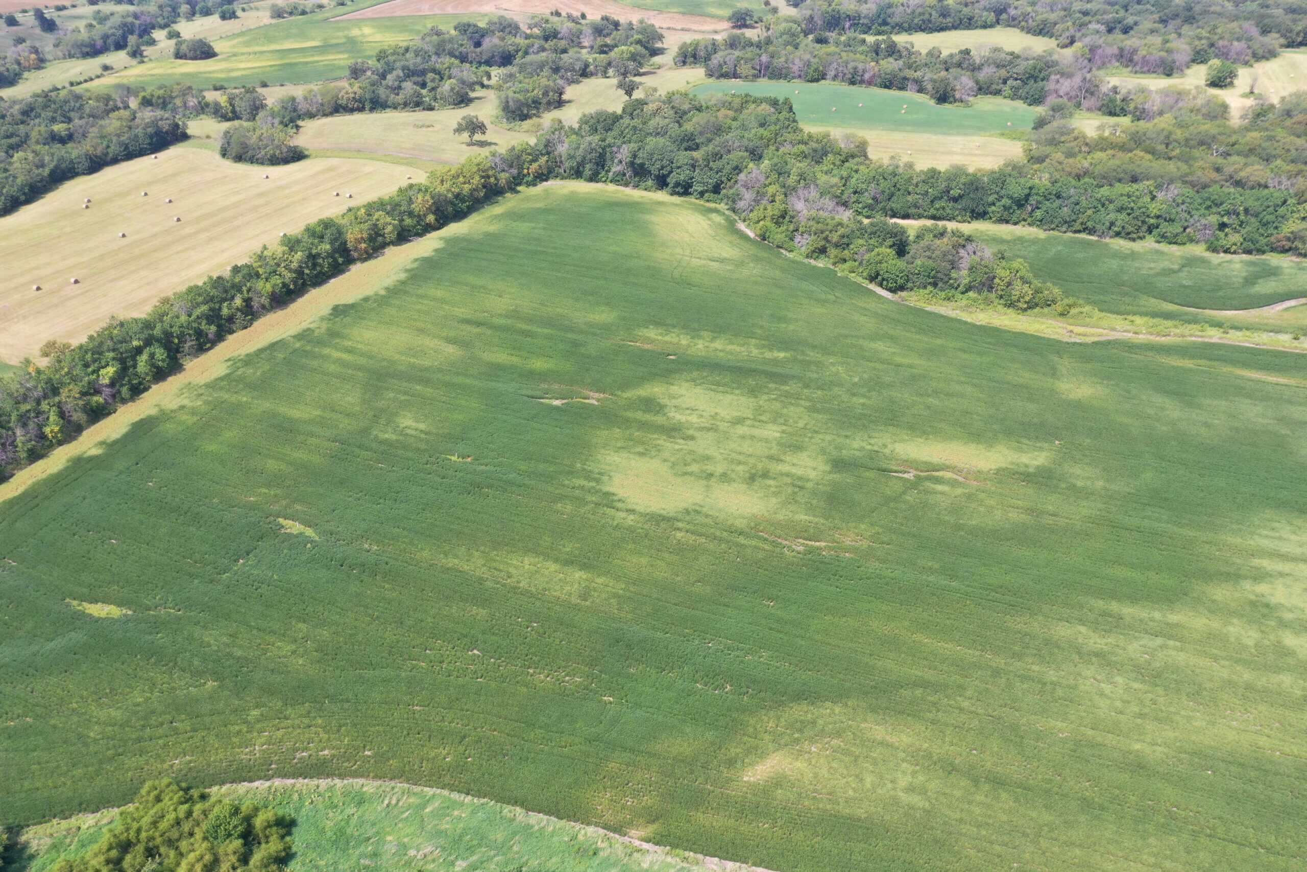 Brad & Tammy Bowles Auction