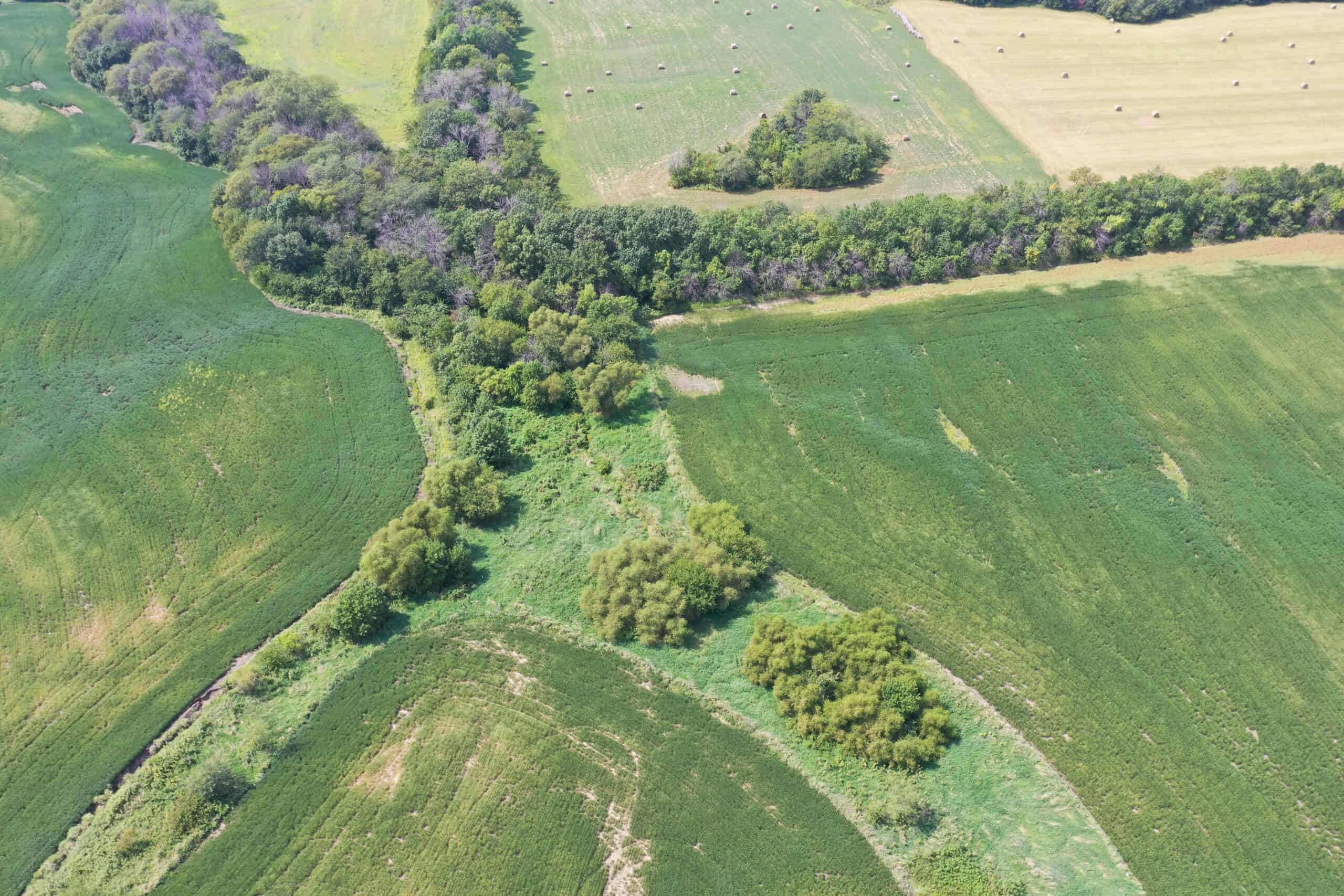 Brad & Tammy Bowles Auction