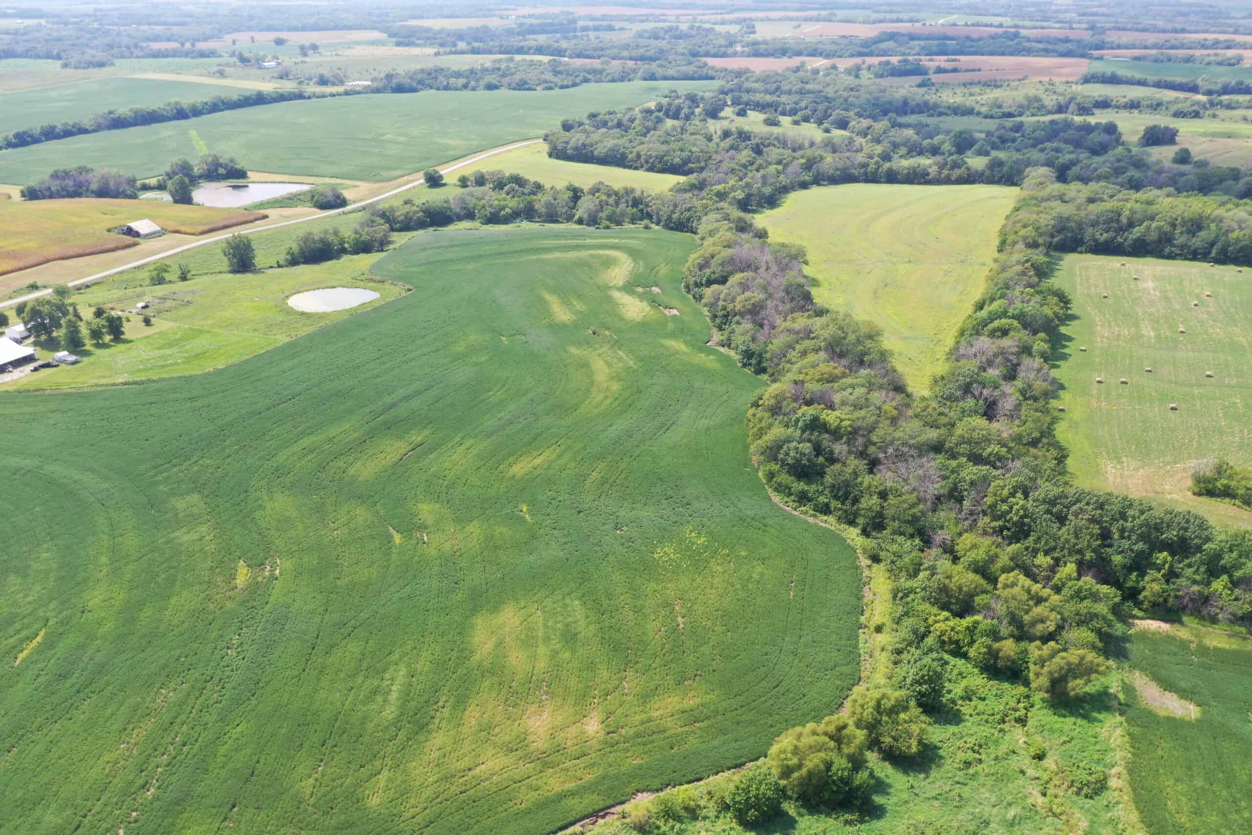 Brad & Tammy Bowles Auction