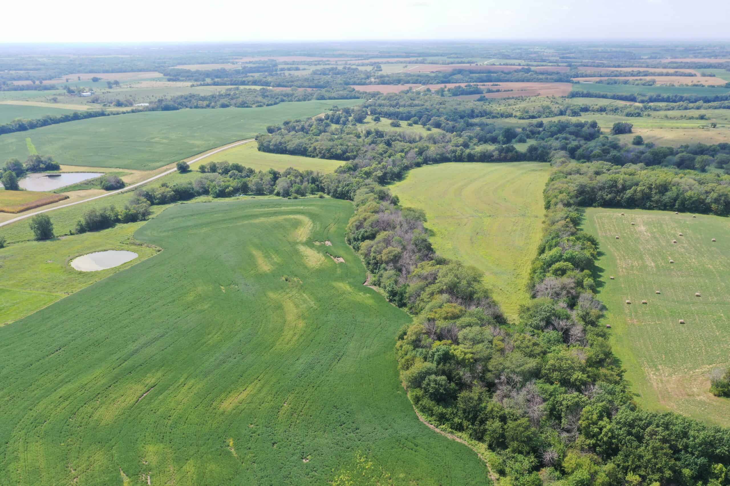 Brad & Tammy Bowles Auction