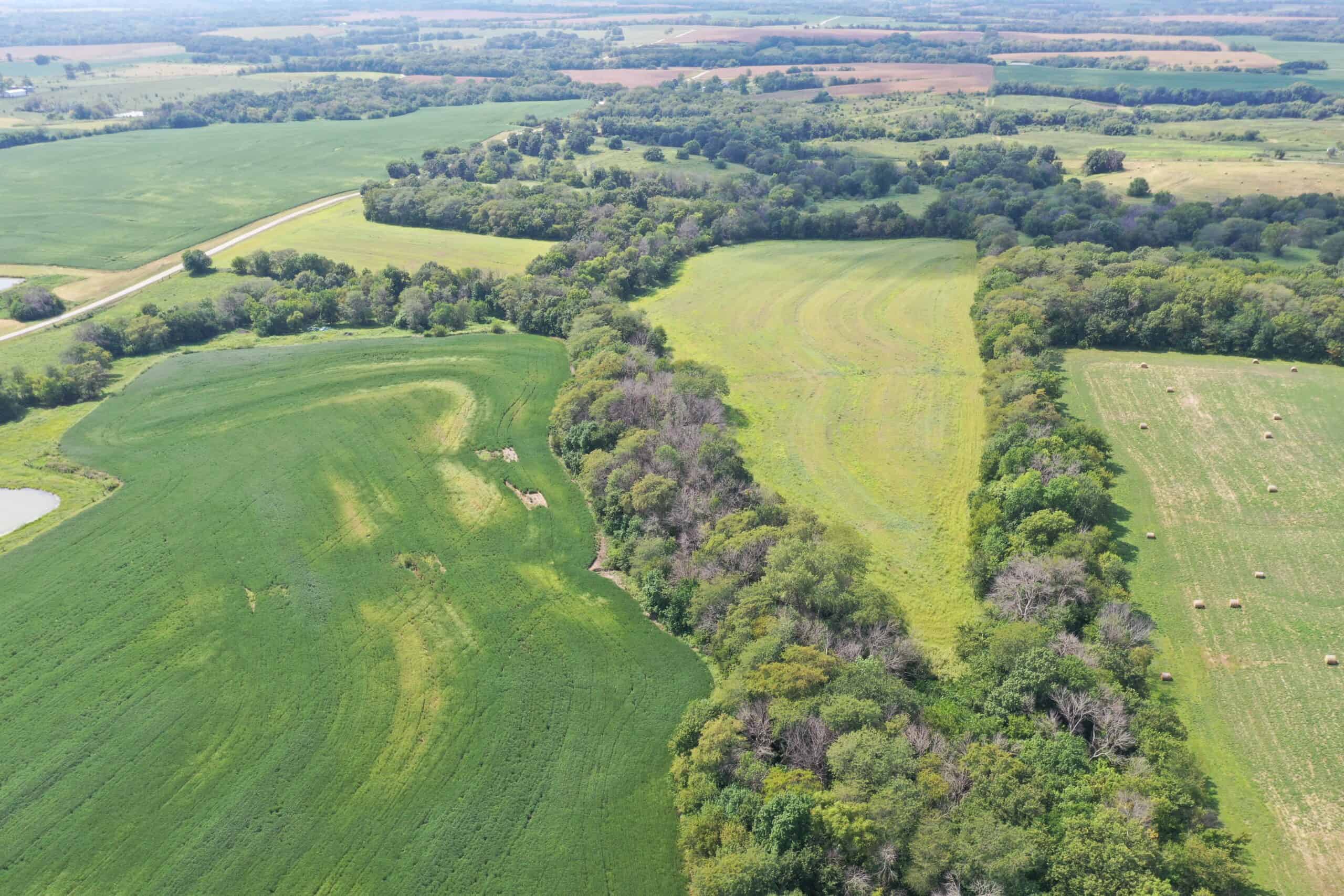 Brad & Tammy Bowles Auction