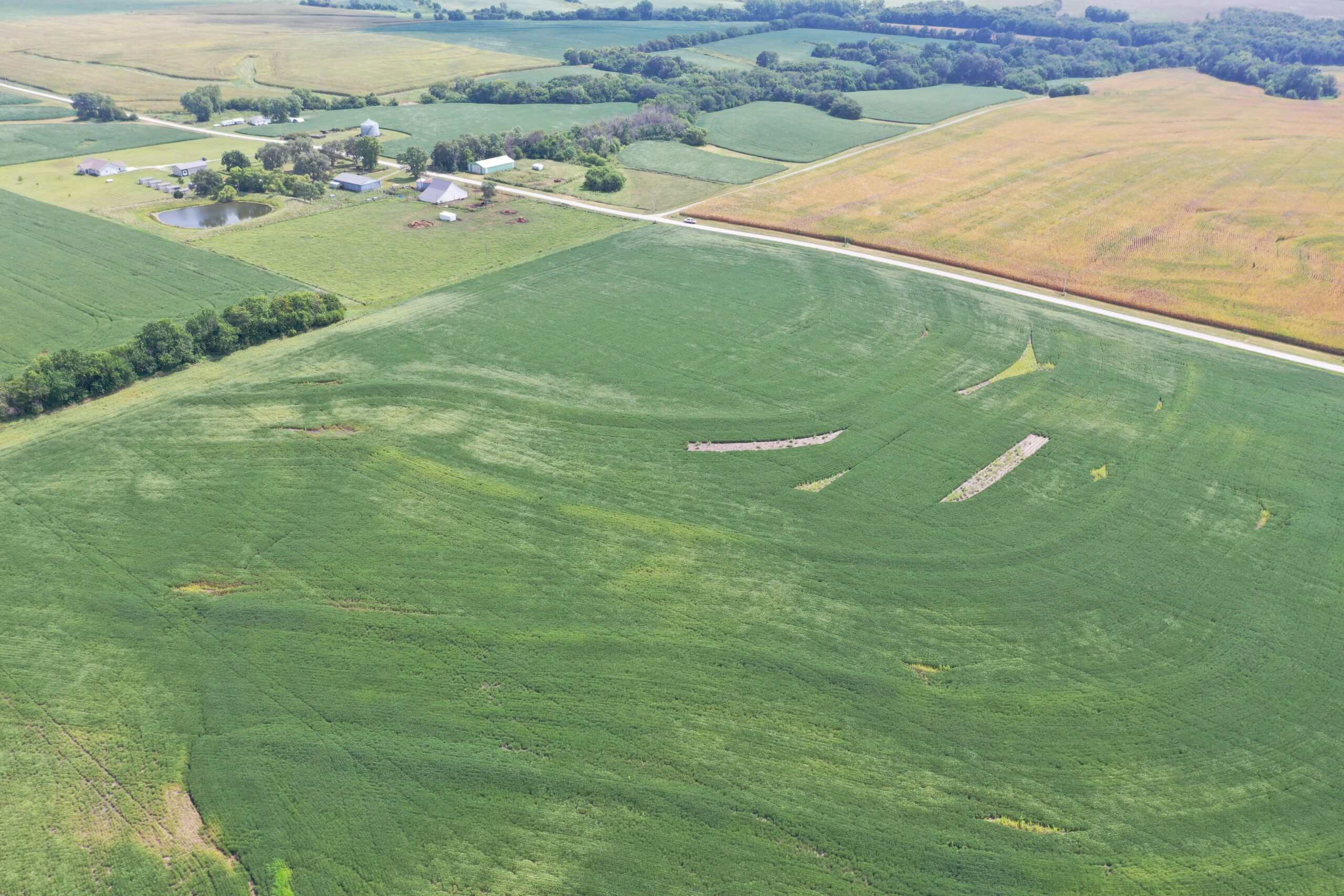 Brad & Tammy Bowles Auction