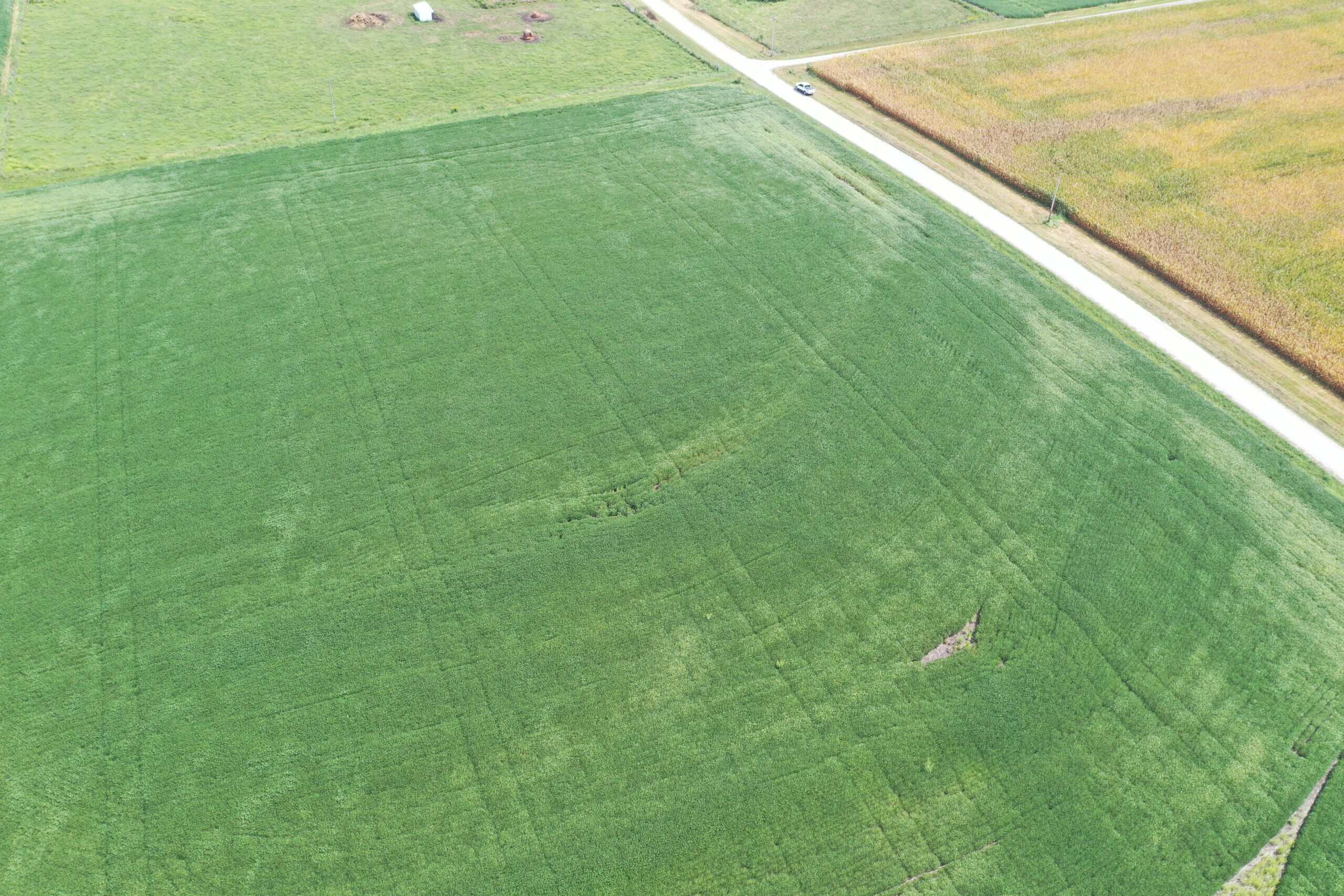 Brad & Tammy Bowles Auction