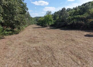 HUNTING AND RECREATIONAL LAND FOR SALE IN ARKANSAS