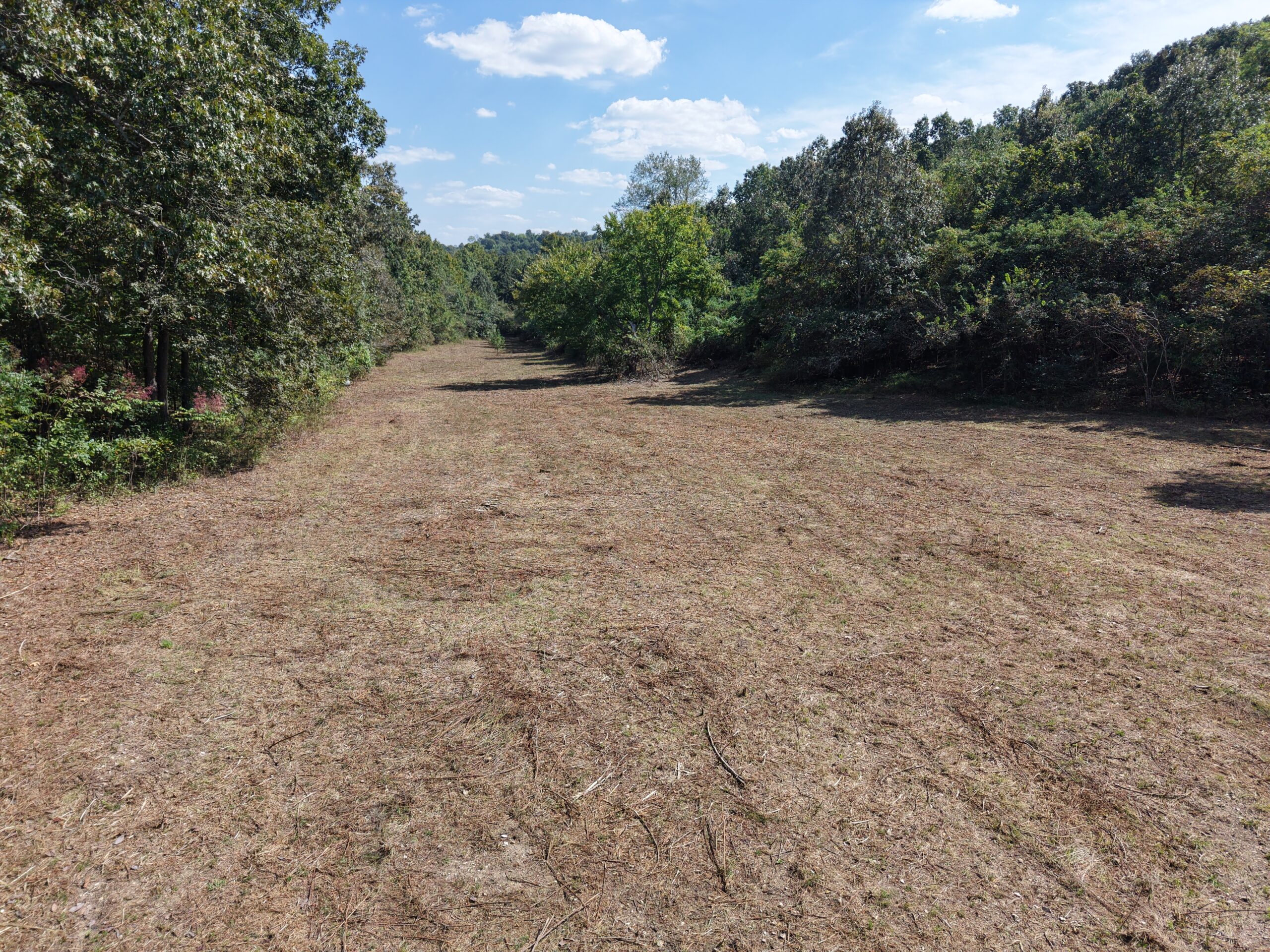 HUNTING AND RECREATIONAL LAND FOR SALE IN ARKANSAS