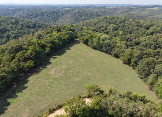 HUNTING FOREST LAND FOR SALE IN OZARK MOUNTAINS OF ARKANSAS