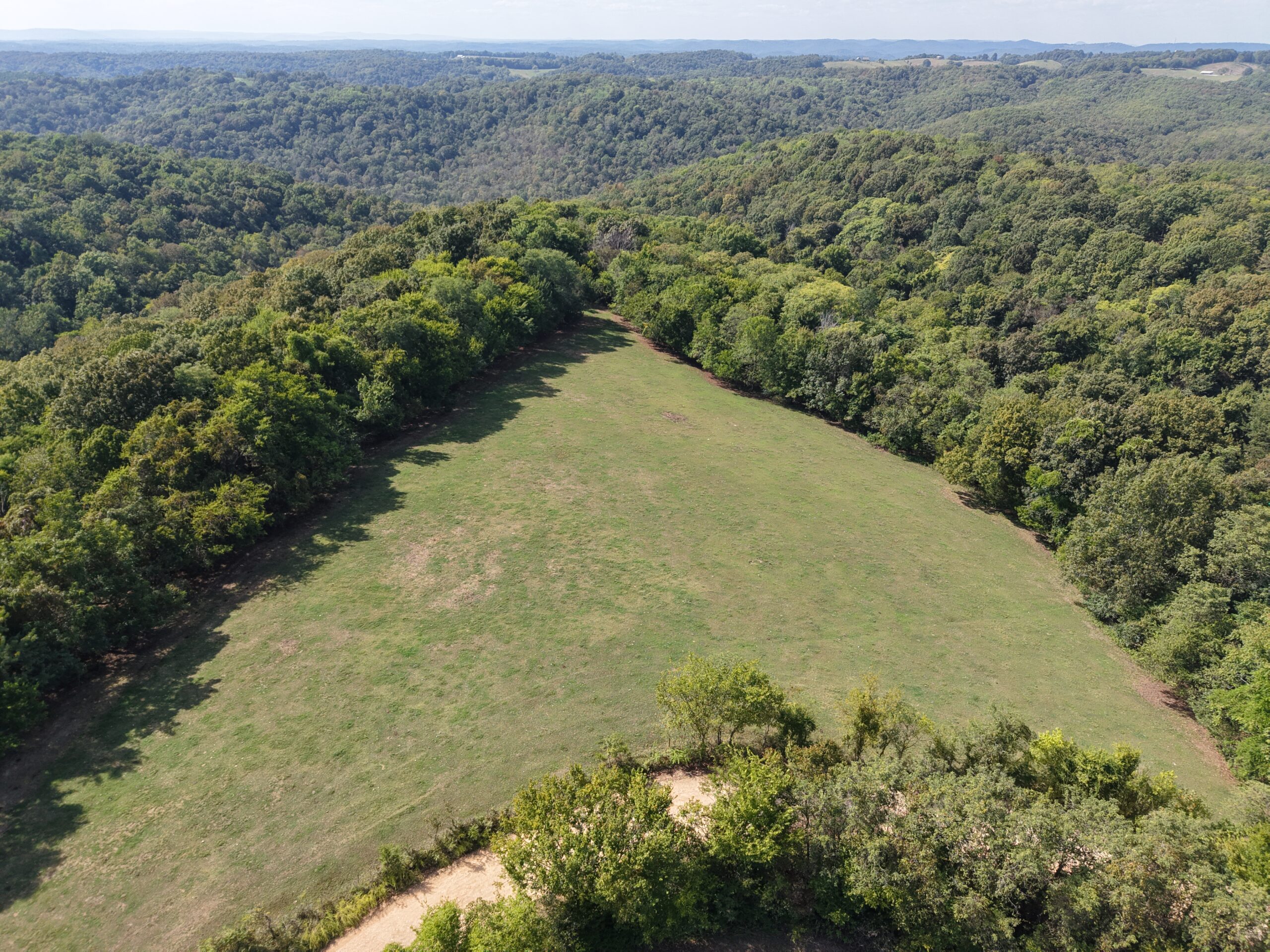 HUNTING FOREST LAND FOR SALE IN OZARK MOUNTAINS OF ARKANSAS