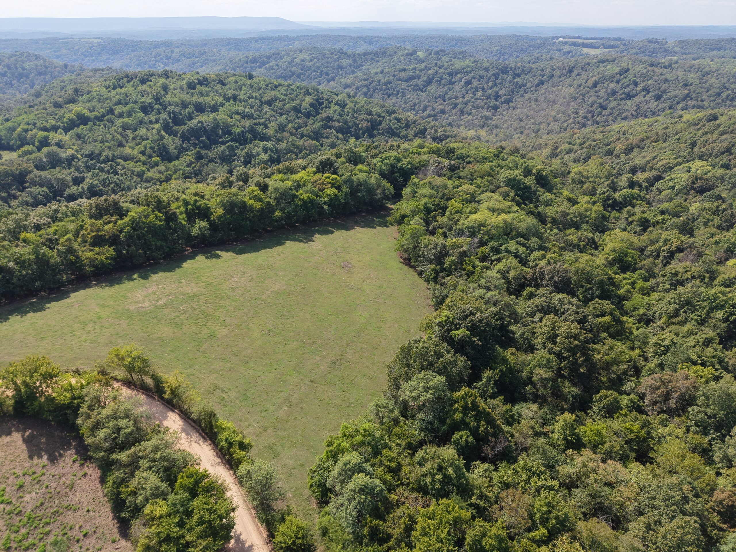 HUNTING FOREST LAND FOR SALE IN OZARK MOUNTAINS OF ARKANSAS