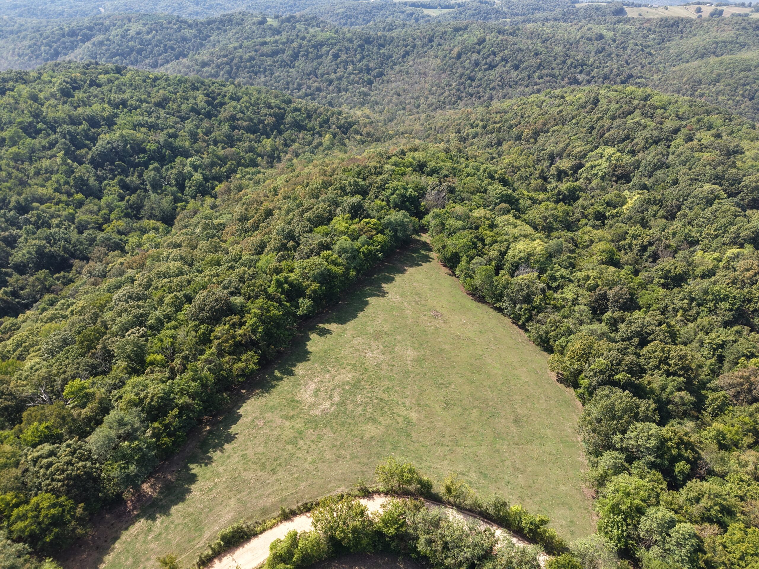 HUNTING FOREST LAND FOR SALE IN OZARK MOUNTAINS OF ARKANSAS