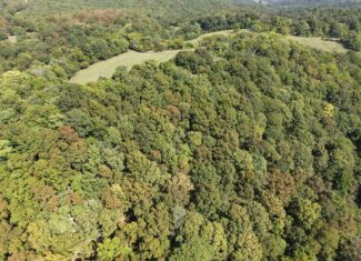 HUNTING FOREST LAND FOR SALE IN OZARK MOUNTAINS OF ARKANSAS