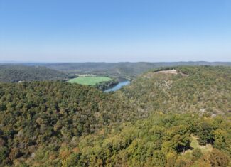 FOREST LAND AND OFF GRID CABIN FOR SALE IN OZARK MOUNTAINS