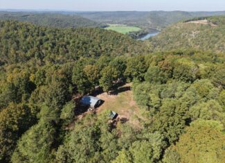 FOREST LAND AND OFF GRID CABIN FOR SALE IN OZARK MOUNTAINS