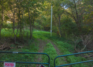 East Tennessee Hunting Property for Sale Hawkins County