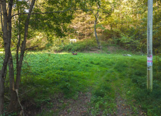 East Tennessee Hunting Property for Sale Hawkins County