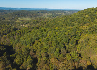 East Tennessee Hunting Property for Sale Hawkins County