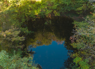 East Tennessee Hunting Property for Sale Hawkins County