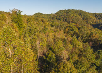 Land Auction East Tennessee Woodland Hancock County Sneedville