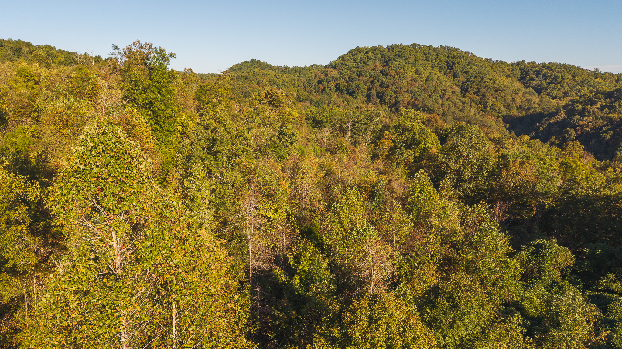 Land Auction East Tennessee Woodland Hancock County Sneedville