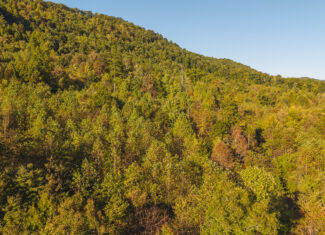 Land Auction East Tennessee Woodland Hancock County Sneedville