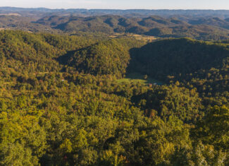 Land Auction East Tennessee Woodland Hancock County Sneedville