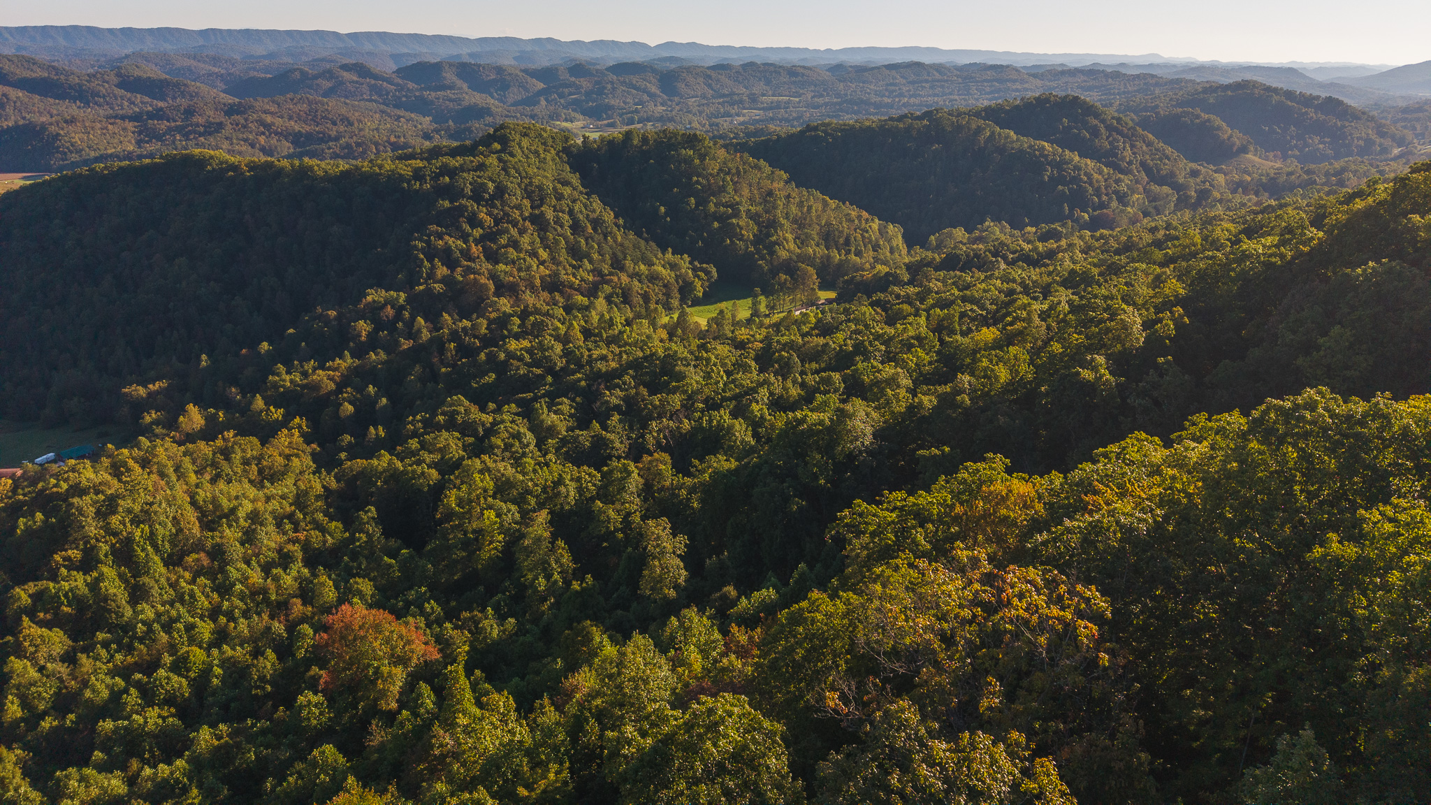Land Auction East Tennessee Woodland Hancock County Sneedville