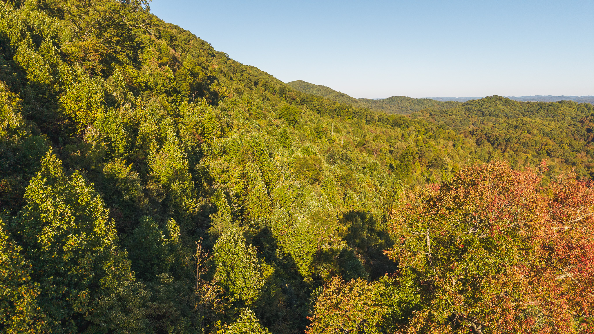Land Auction East Tennessee Woodland Hancock County Sneedville
