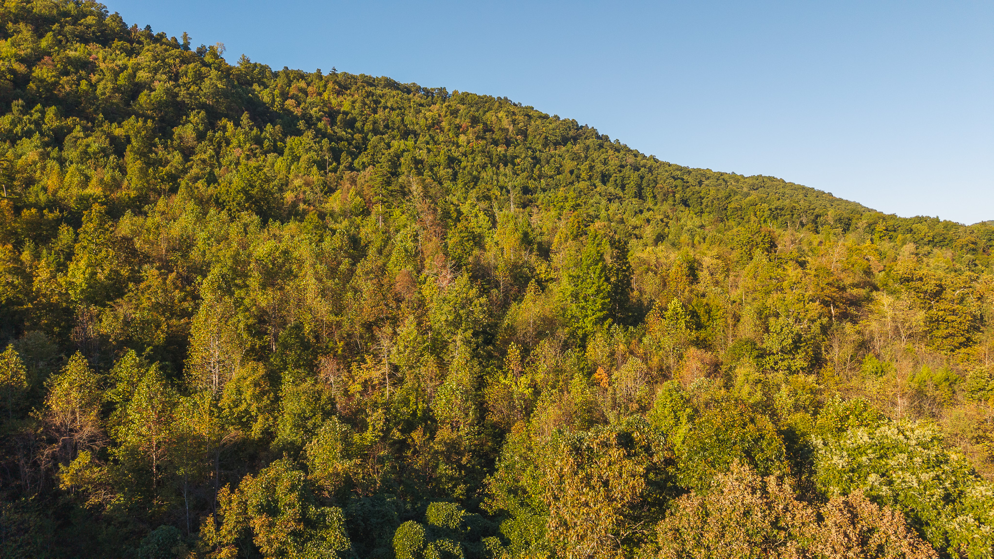 Land Auction East Tennessee Woodland Hancock County Sneedville