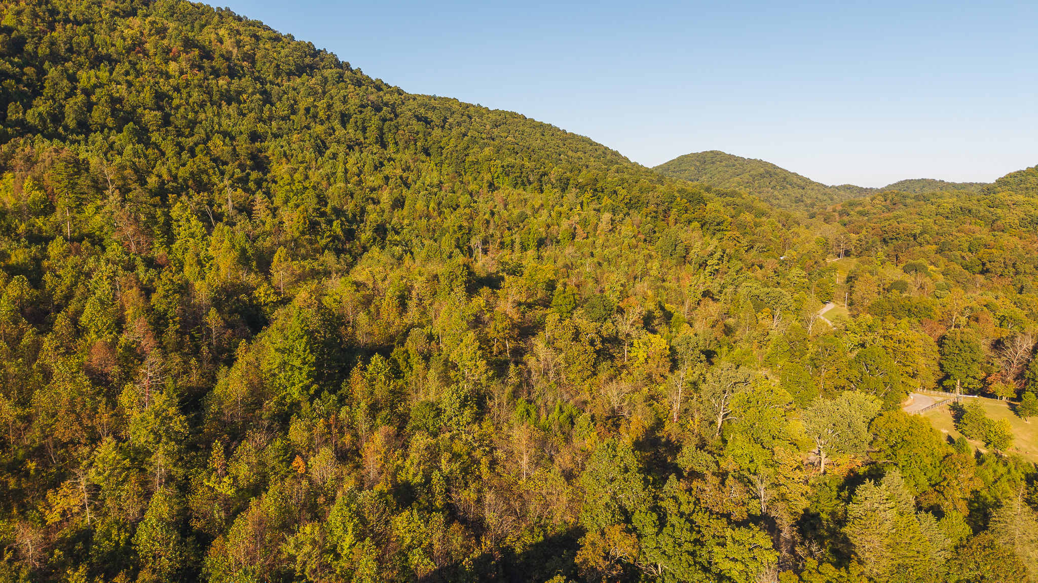 Land Auction East Tennessee Woodland Hancock County Sneedville