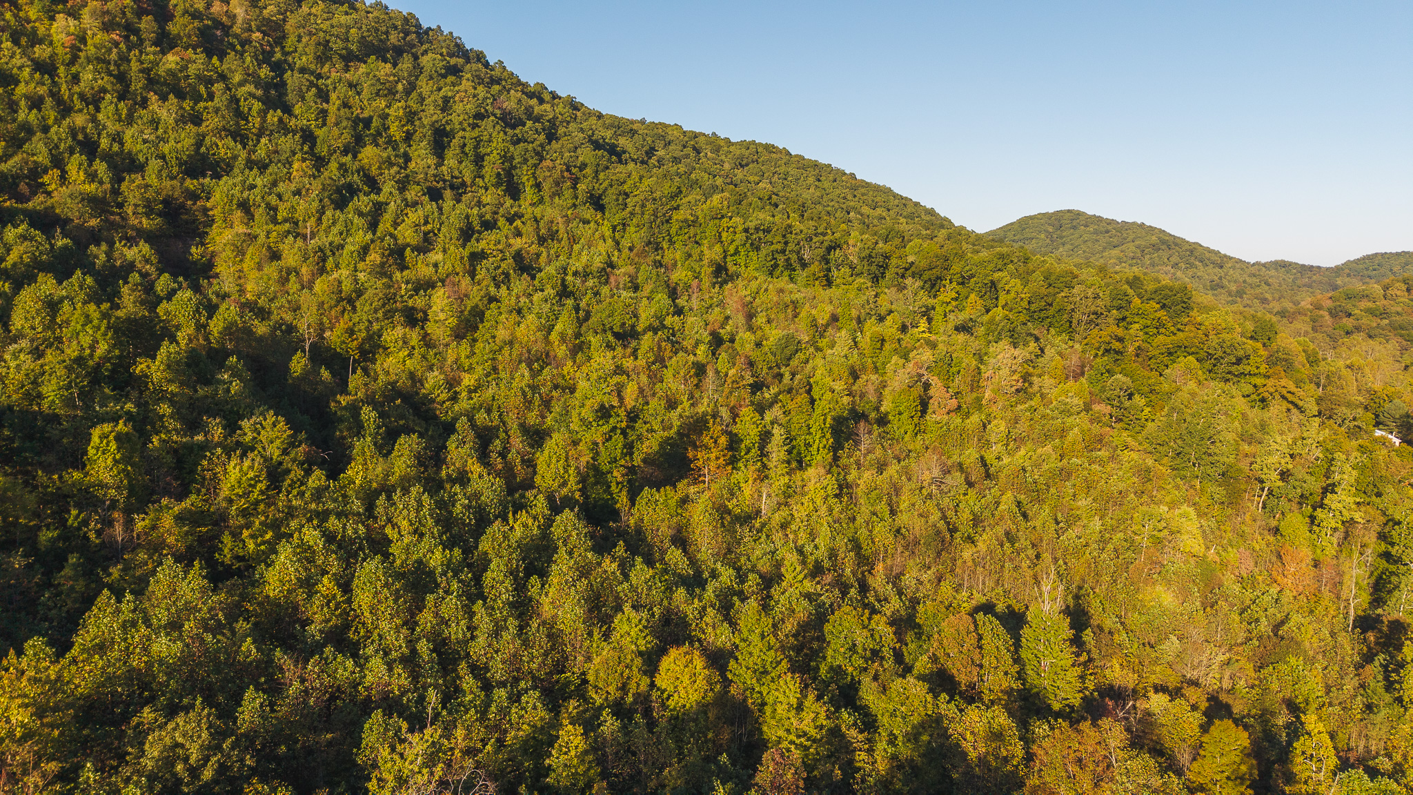 Land Auction East Tennessee Woodland Hancock County Sneedville