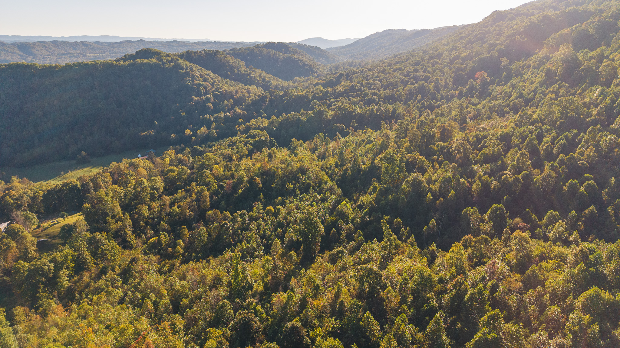 Land Auction East Tennessee Woodland Hancock County Sneedville