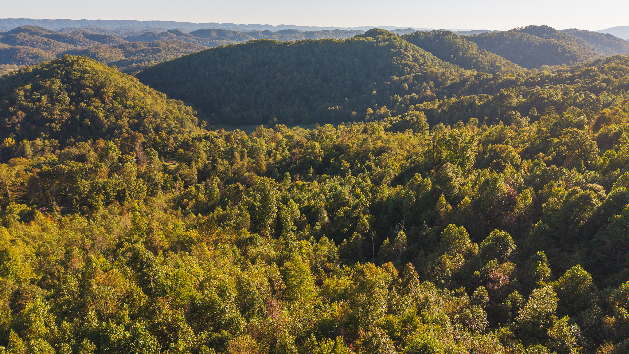 Land Auction East Tennessee Woodland Hancock County Sneedville