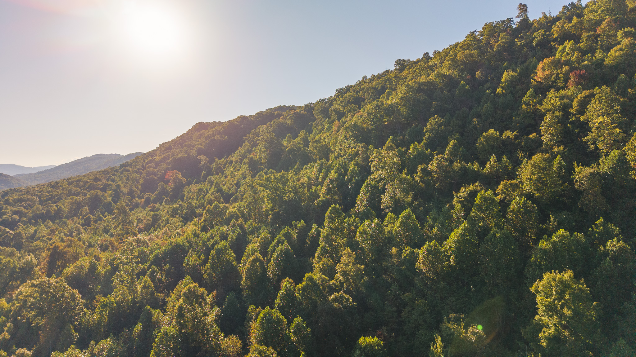 Land Auction East Tennessee Woodland Hancock County Sneedville