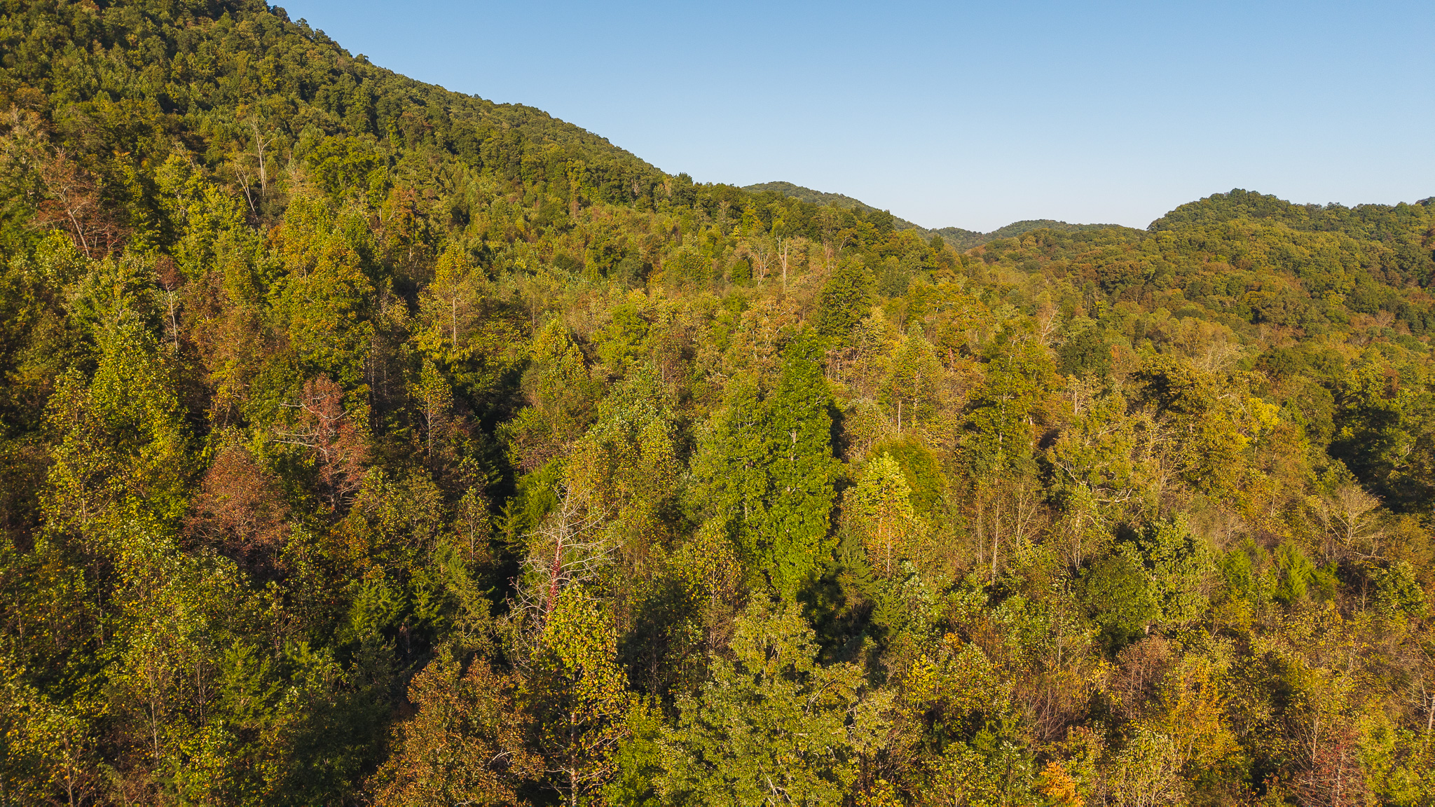 Land Auction East Tennessee Woodland Hancock County Sneedville