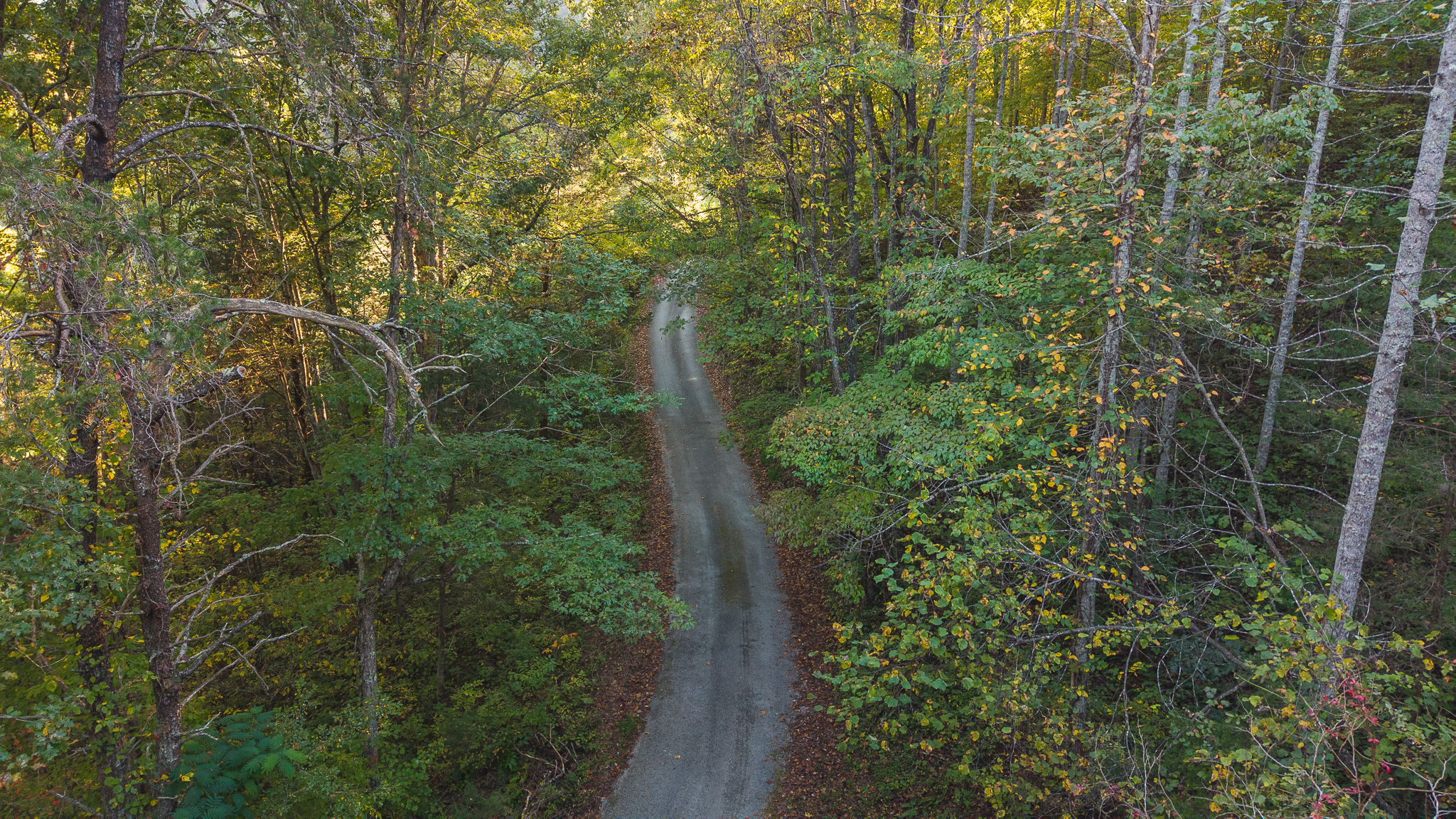 Land Auction East Tennessee Woodland Hancock County Sneedville