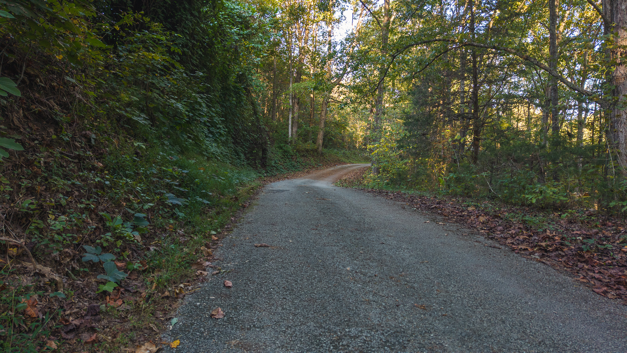 Land Auction East Tennessee Woodland Hancock County Sneedville