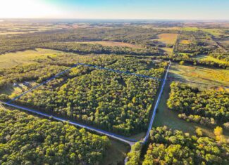 Wooded land 45.26+ Acres