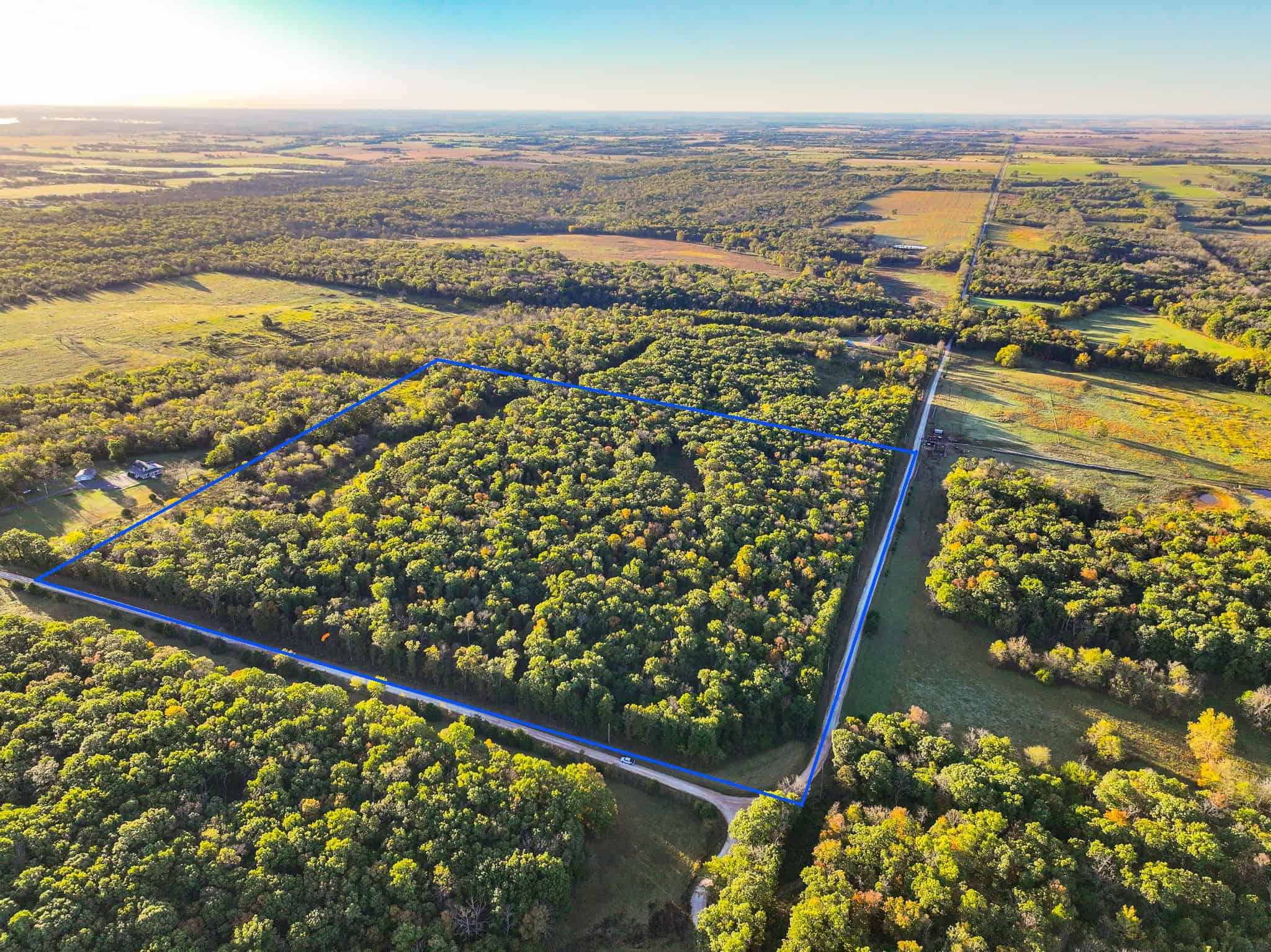 Wooded land 45.26+ Acres