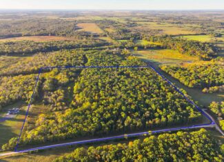 Wooded land 45.26+ Acres
