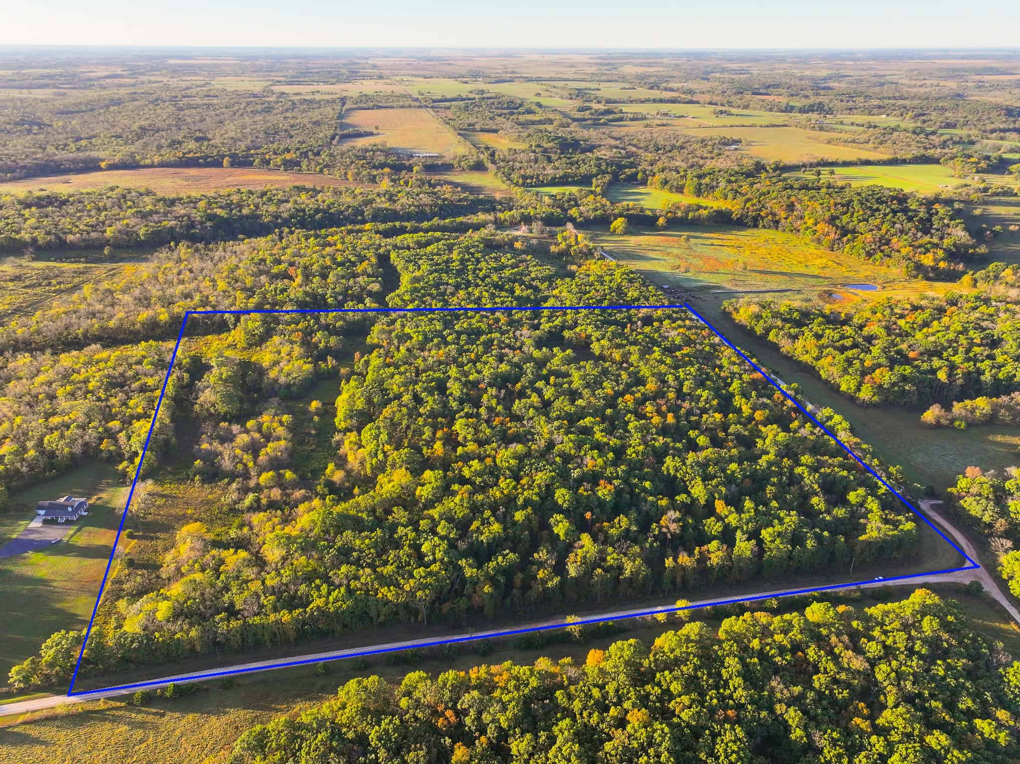 Wooded land 45.26+ Acres