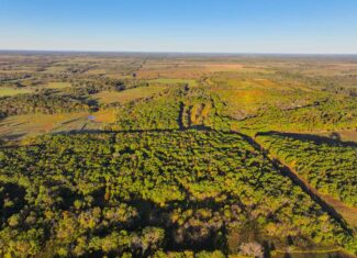 Wooded land 45.26+ Acres
