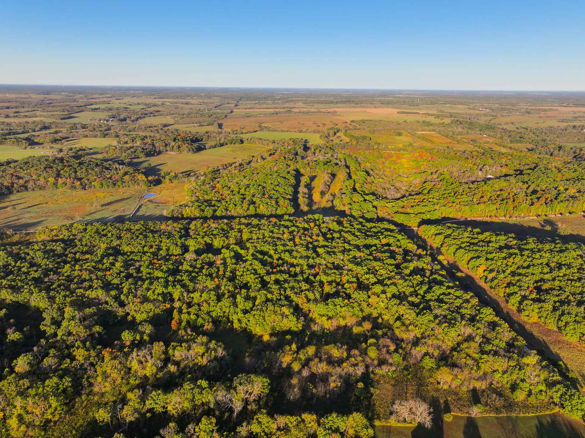 Wooded land 45.26+ Acres
