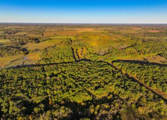Wooded land 45.26+ Acres
