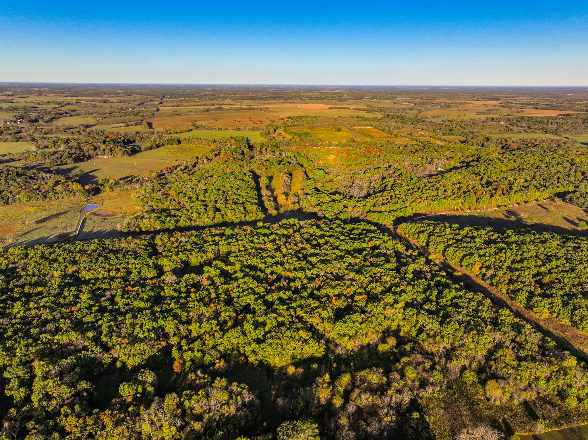Wooded land 45.26+ Acres