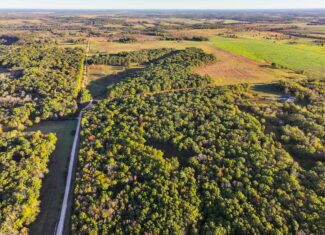 Wooded land 45.26+ Acres