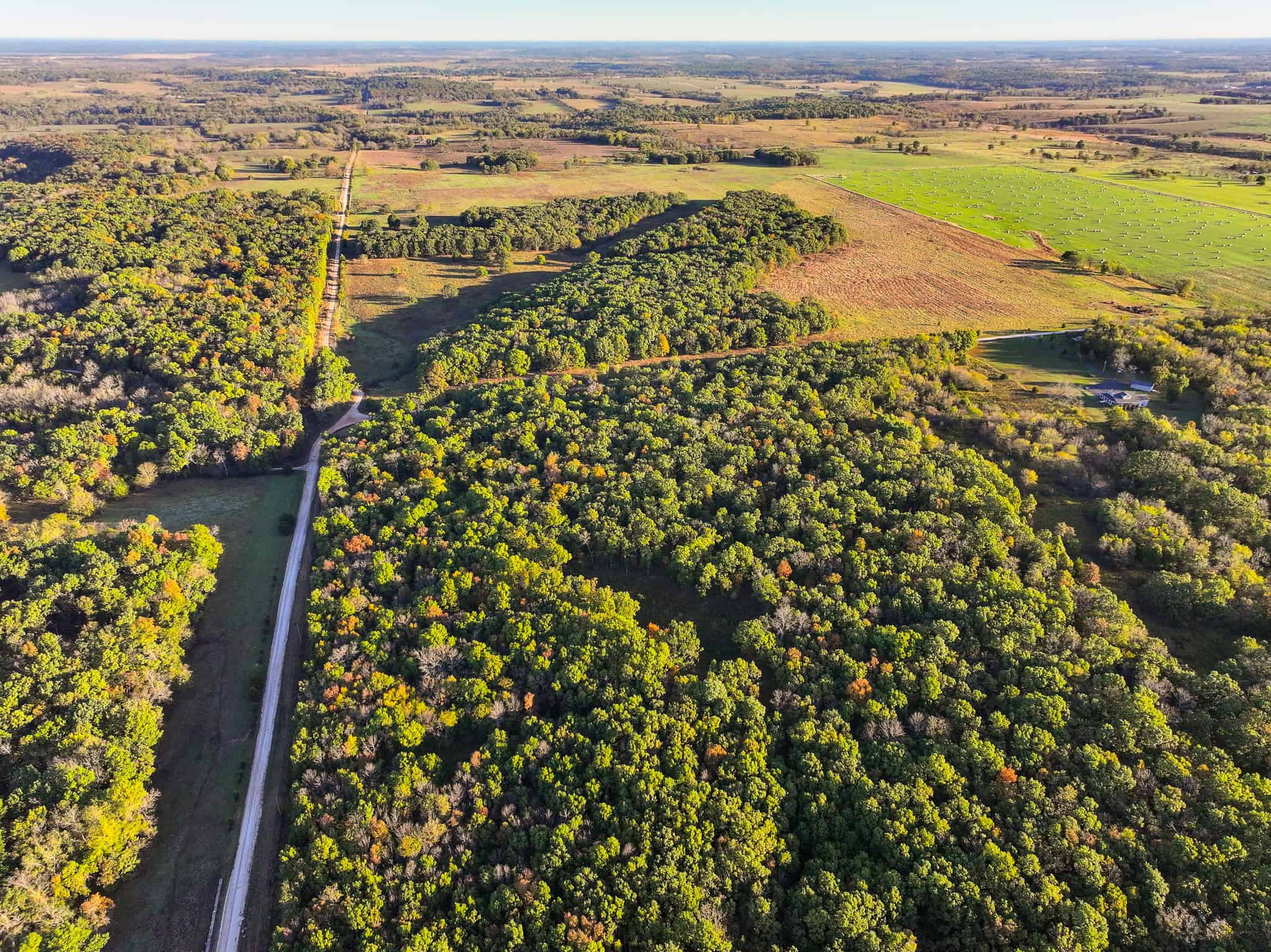 Wooded land 45.26+ Acres